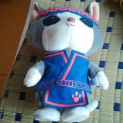 メラルーのサムネイル