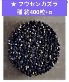 ☆新品サザエさんさんハンカチ手拭いインナーマスクノート5点