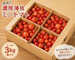 10/14発送　訳あり 濃厚薄皮ミニトマト 3kgのサムネイル