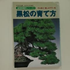 黒松の育て方のサムネイル