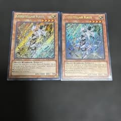遊戯王 英語 米版 セイクリッドカウスト 2枚 シークレット - メルカリ