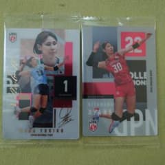 【未開封】バレーボール女子日本代表ウエハースカード和田由紀子 北窓絢音2枚セットのサムネイル