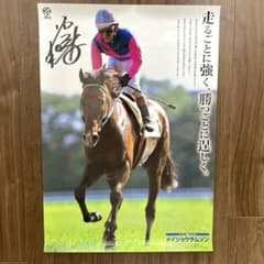 JRA ヒーロー列伝 ポスター メイショウサムソン 直筆サイン入り
