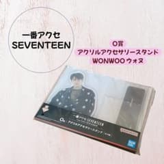 가격 인하! [미개봉] 제일 액세서 SEVENTEEN [WONWOO]