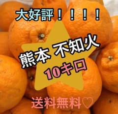 熊本特産 不知火10キロのサムネイル