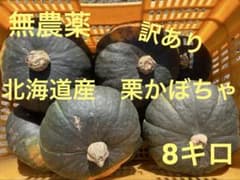 無農薬　北海道産　訳あり栗かぼちゃ　 8キロのサムネイル