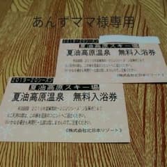 あんずママ様専用　夏油高原スキー場　夏油高原温泉　無料入浴券のサムネイル