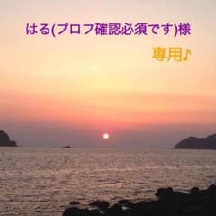 はる(プロフ確認必須です)様専用♪のサムネイル