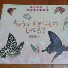 絵本☆ちょうがすきなものしってる？のサムネイル