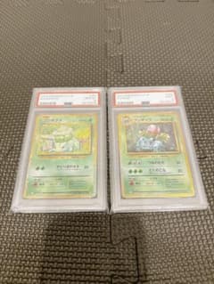 ポケモンカード　Classic フシギダネPSA10 フシギソウPSA9 連番のサムネイル