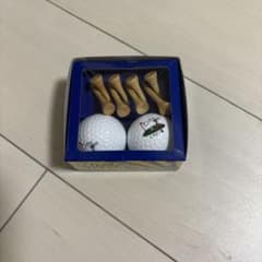 ST. ANDREWS ゴルフティーとグリーンフォーク、マーカーセットのサムネイル