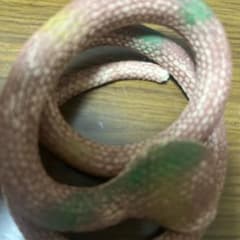 ゆん様のサムネイル