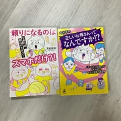 正しいお母さんってなんですか!? 真船佳奈　まふねこ　2冊セットのサムネイル