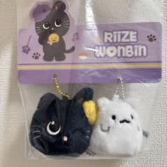 RIIZE ウォンビン 中国上海ポップアップ キーホルダー - メルカリ