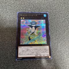 最安値　遊戯王 キャット・シャーク　シークレットのサムネイル