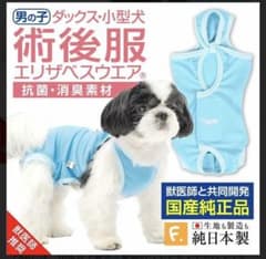 術後服　犬　エリザベスウェア　男の子のサムネイル