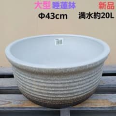 新品∅43　5点セット　陶器睡蓮鉢　メダカ鉢　難有　白　ホワイト　ルーバーMWH 新品 ∅43 陶器睡蓮鉢 大型 メダカ鉢 難有 白色 ホワイト ルーバー MWH
