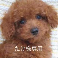 初売り美品フェリシモワンピースのサムネイル