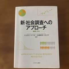 新・社会調査へのアプローチ 論理と方法のサムネイル