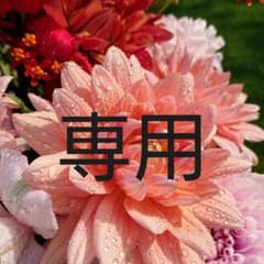たにし様 専用のサムネイル