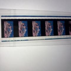 紅の豚　三鷹の森ジブリ美術館　フィルムブックマーカーのサムネイル