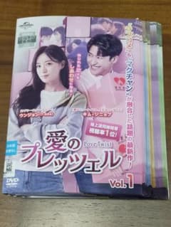 愛のプレッツェル DVD 全43巻 韓国ドラマ レンタル落ち