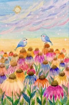 momorin水彩画　菜の花とジョウビタキたち　値段は※900円です 原画 水彩画エキナセアが咲き寄り添う小鳥さん 値段は※900円です