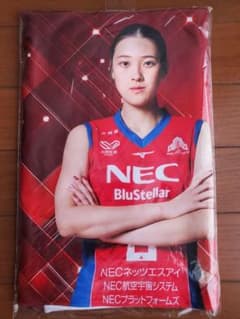 NECレッドロケッツ川崎 佐藤淑乃 2025-2026 プレイヤーズタオル - メルカリ