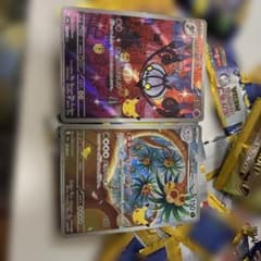 ポケモンカード シャンデラ アローラナッシー 2枚セットのサムネイル