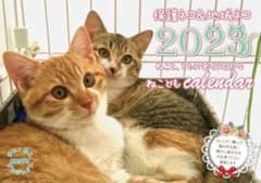 【値下げ中！】保護ネコ＆地域ネコ　ねこともカレンダー2023のサムネイル