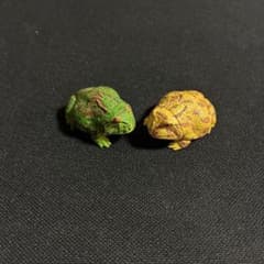 チョコエッグ・カエル2個セット