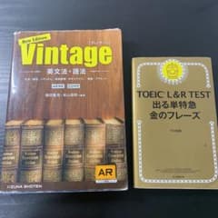 TOEIC L&R TEST 出る単特急金のフレーズ　ヴィンテージのサムネイル