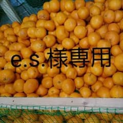 e.s.様 専用  上ノ太子みかん園のみかんのサムネイル