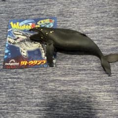 DeAgostini WHALES&Co. ビッグ ザトウクジラ