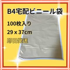 宅配ビニール袋 B4サイズ １００枚のサムネイル