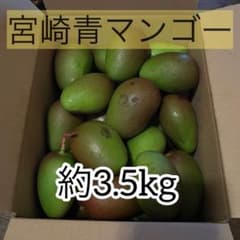 宮崎県産/グリーンマンゴー/青マンゴー/摘果マンゴー 約3.5kg - メルカリ