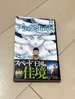 ブラッククローバー30巻のサムネイル