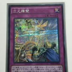 次元障壁 シクのサムネイル