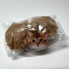 にゃんたますこっと2 子トラ　猫　 ガチャガチャのサムネイル