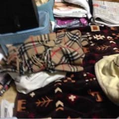 マフラーのサムネイル