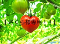 EXILE☆RED Phoenix☆5／17(火)のサムネイル