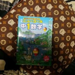 中学 数学 1年のサムネイル