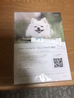 ドクターデンタルワンのサムネイル