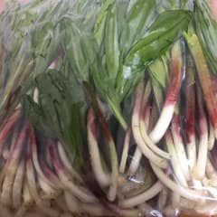 行者ニンニクのサムネイル