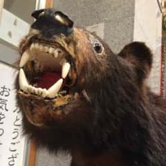 ホリホリ様専用のサムネイル