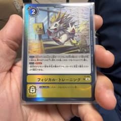 デジモンカード フィジカル・トレーニング P-105 1枚