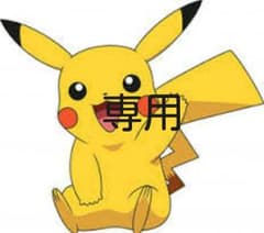 専用ですのサムネイル