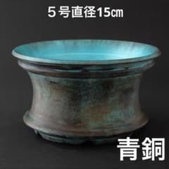【特別モデル】入道樹海〜青銅〜　５号直径15㎝　3dプリンター鉢　作家鉢　アガベ 平鉢〜青銅〜 5号直径15㎝ 3dプリンター鉢 作家鉢 アガベ - メルカリ