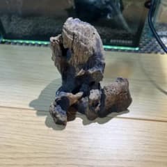 K*t様 水槽用 流木 アクアリウム レイアウトのサムネイル
