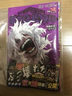 僕のヒーローアカデミア 25のサムネイル